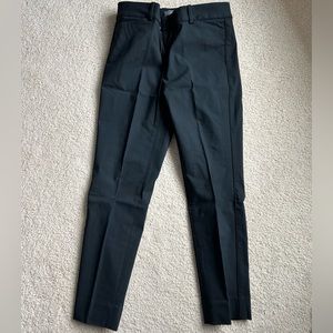 The Limited exact stretch pants